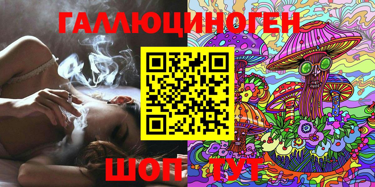 Псилоцибиновые грибы Psilocybe Кандалакша