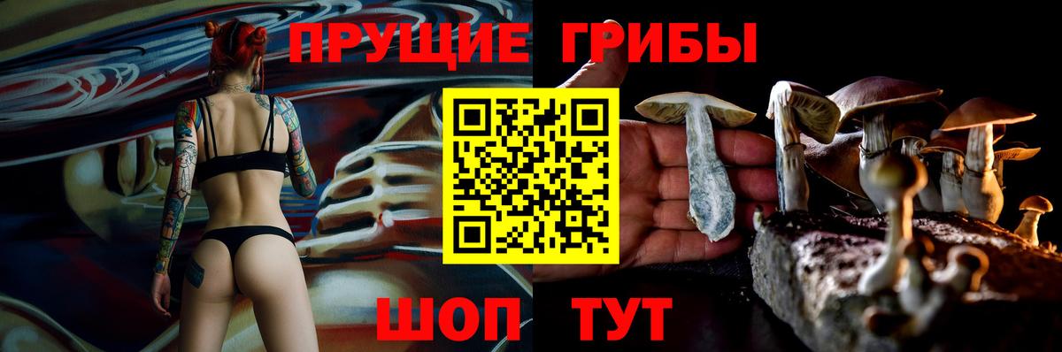 Галлюциногенные грибы прущие грибы  продажа наркотиков  Кандалакша  Вход с VPN 